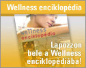 Wellness enciklopédia
