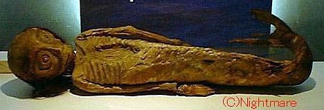 Mermaid Mummy