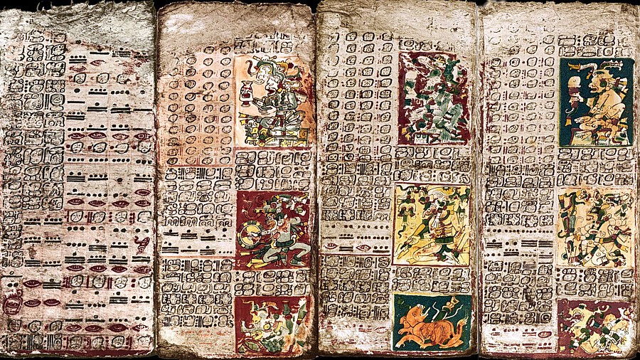 Maya Codex