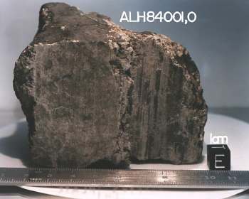 Mars Rock ALH84001