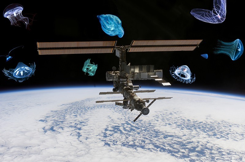 International Space Station (ISS) surrounded by energyzoa