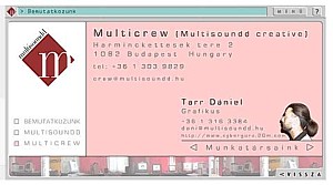 Multisoundd Web