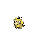 psyduck