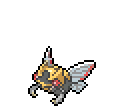 ninjask