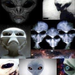 Alien Species