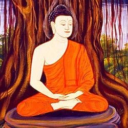 Buddha Élete
