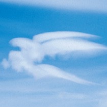 Cloud Pegasus
