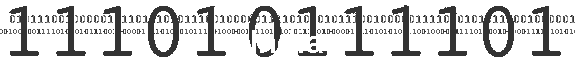 Fieldwork - India