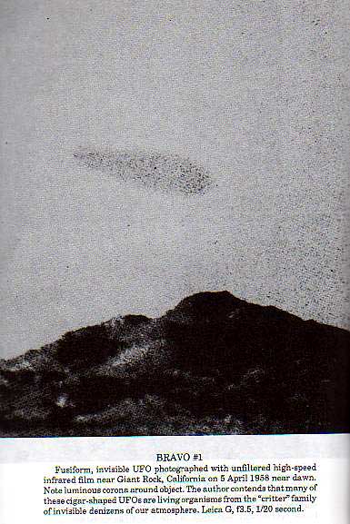 UFO - Ufology - Sky Critters of Trevor James Constable